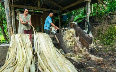 Banana Fiber: it is not just a furniture material, it is a life!